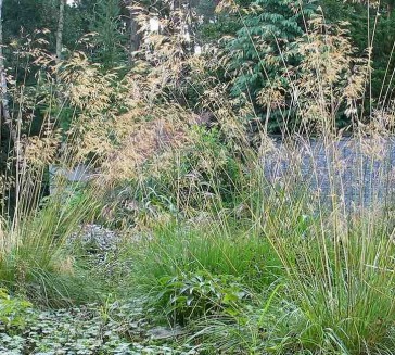 7 tips voor het herinrichten van jouw tuin