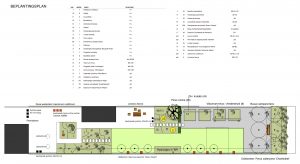 beplantingsplan tuinontwerp utrecht